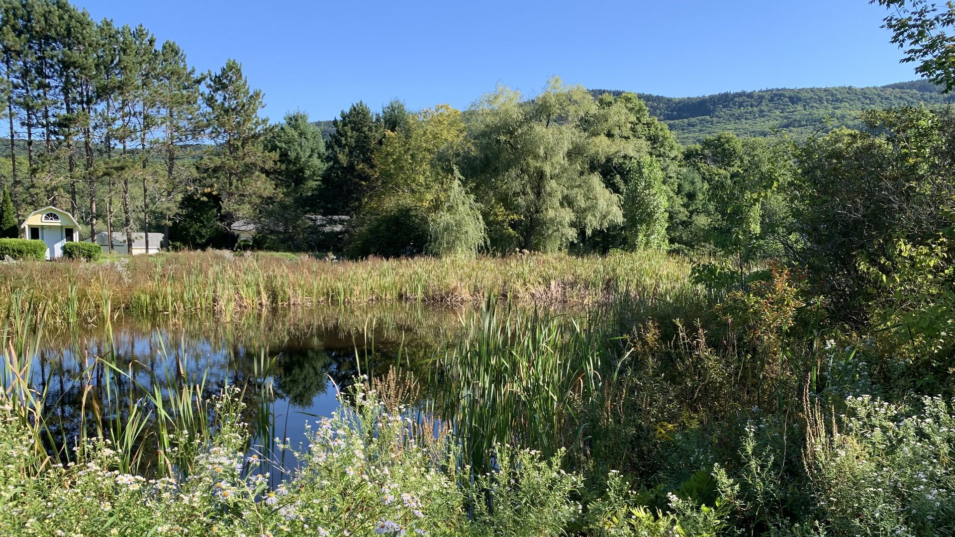 A beautiful pastoral scene in Maine of summer turning into fall.