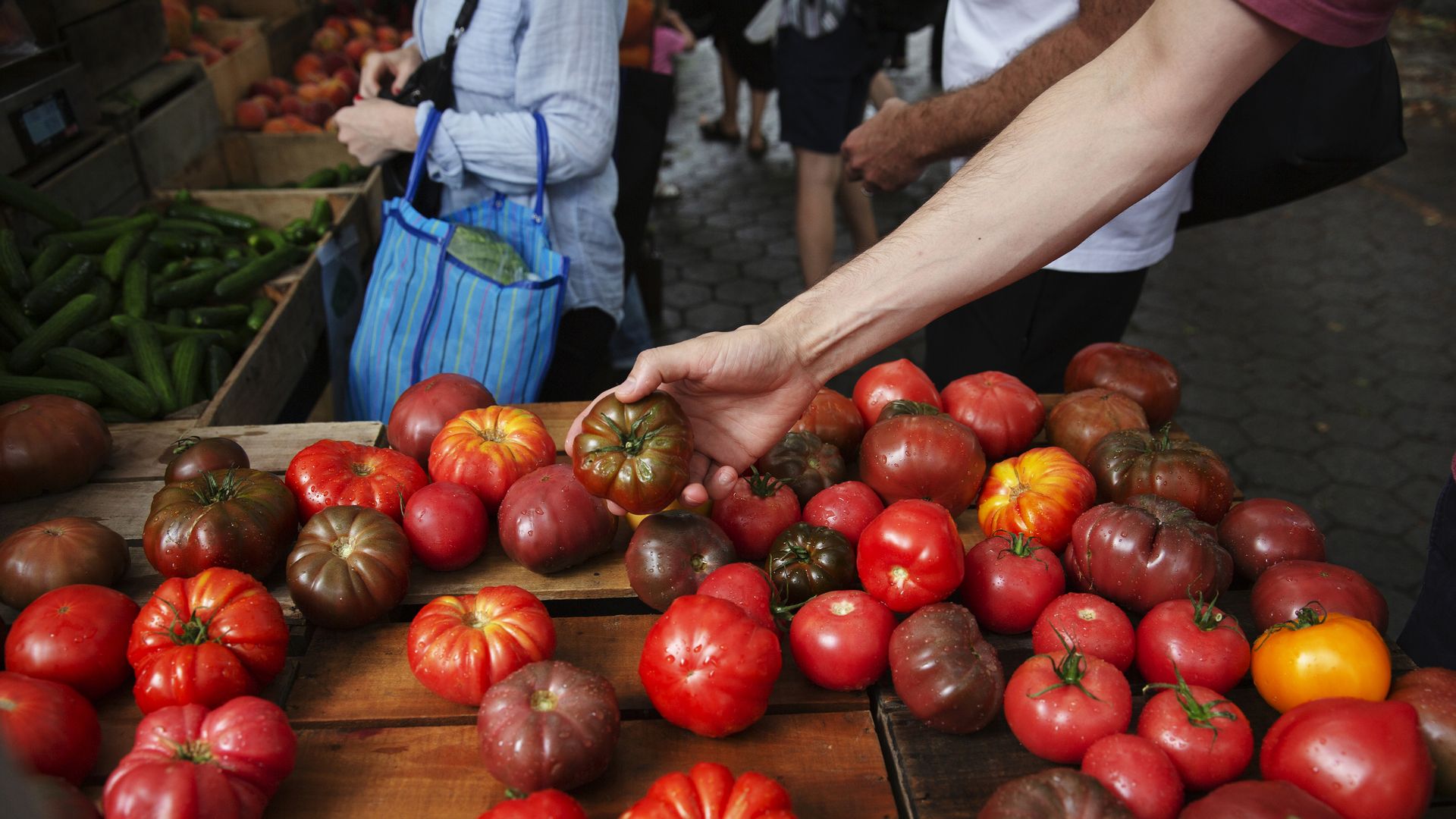 A person reaching out to pick a heirloom tomato from a wooden table filled with various red, orange, and dark green heirloom tomatoes at an outdoor market.