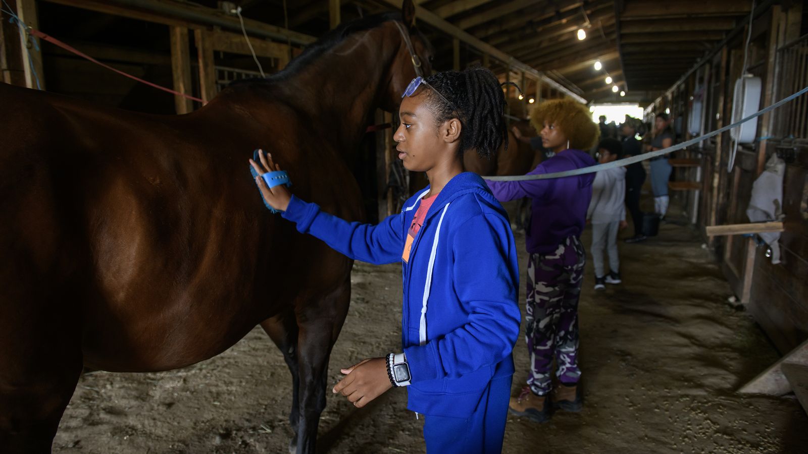 Detroit Horse Power wants to open 20-horse equestrian center - Axios ...