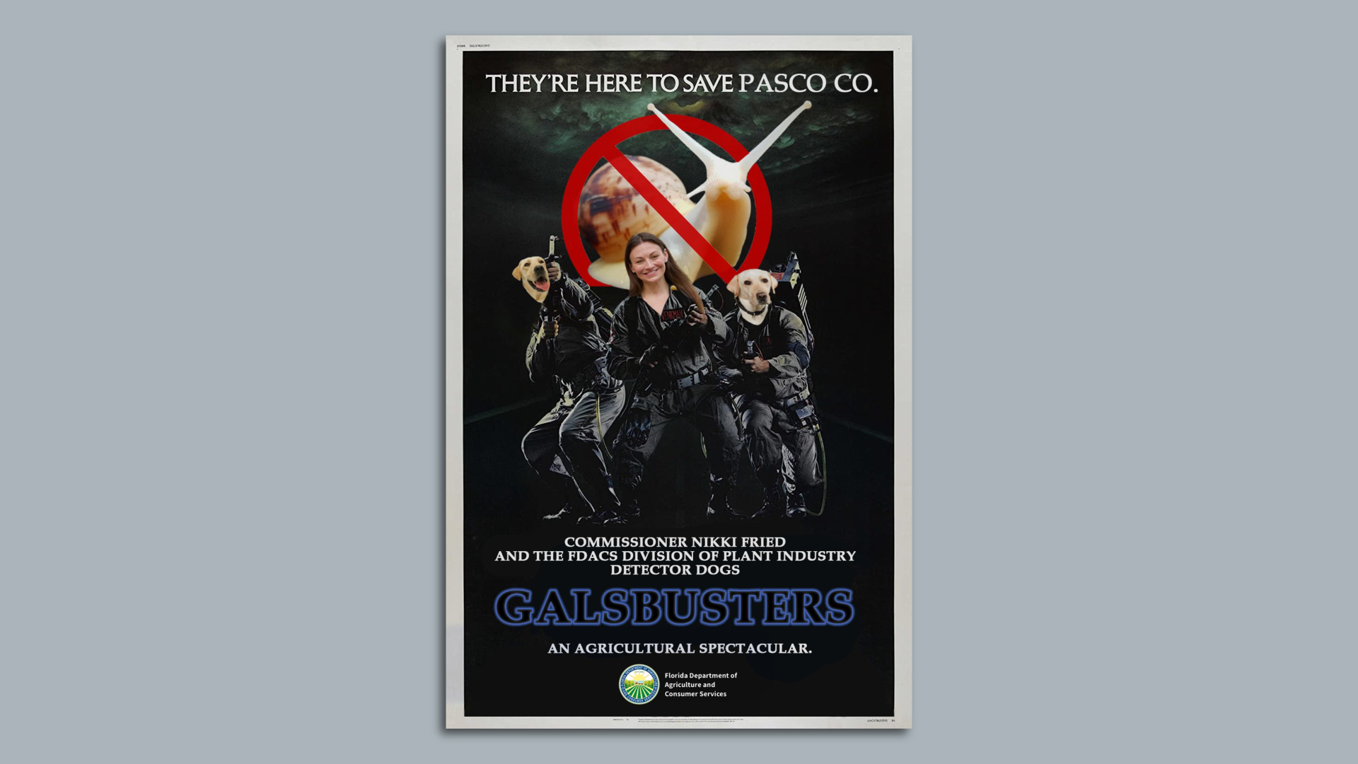 Nikki Fried photoshopped into the Ghostbuster's movie poster with the other two ghostbusters as dogs and the ghost as a snail”