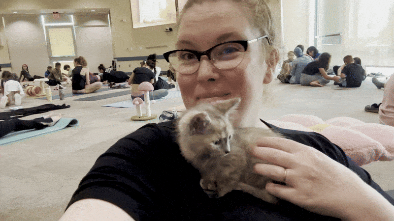 Image shows Carlie petting a kitten.