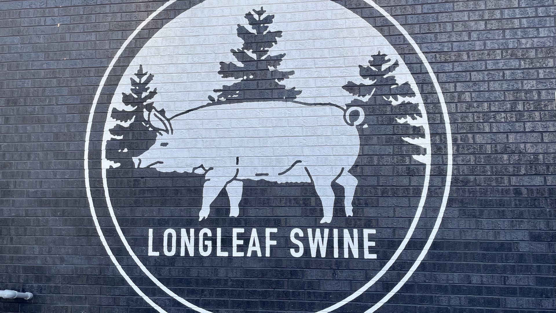 A mural of a pig that reads Longleaf Swine