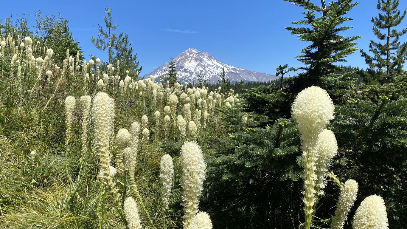 How to stay safe in the backcountry