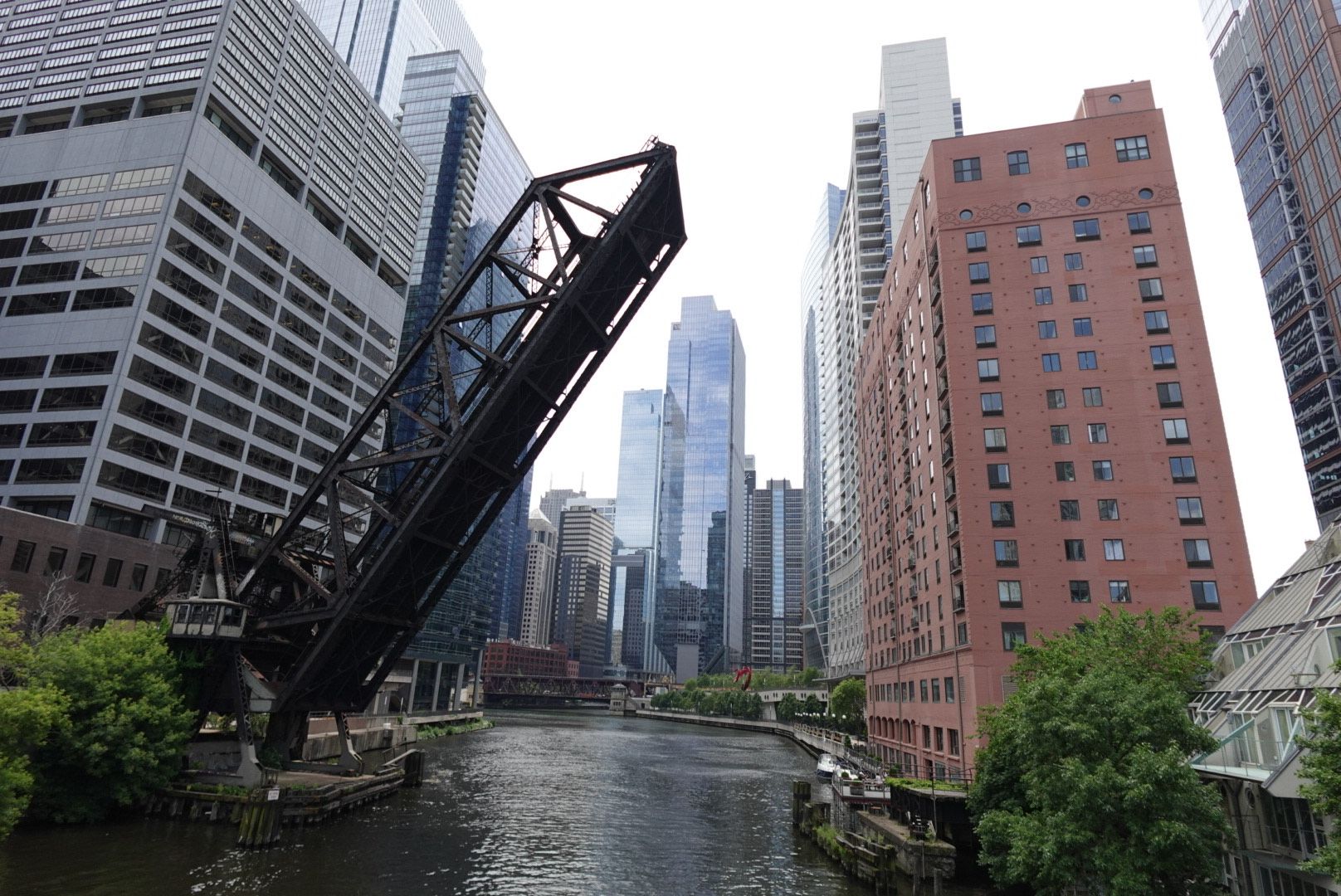 Photo of a bridge up and the skyscrapers behind it. 