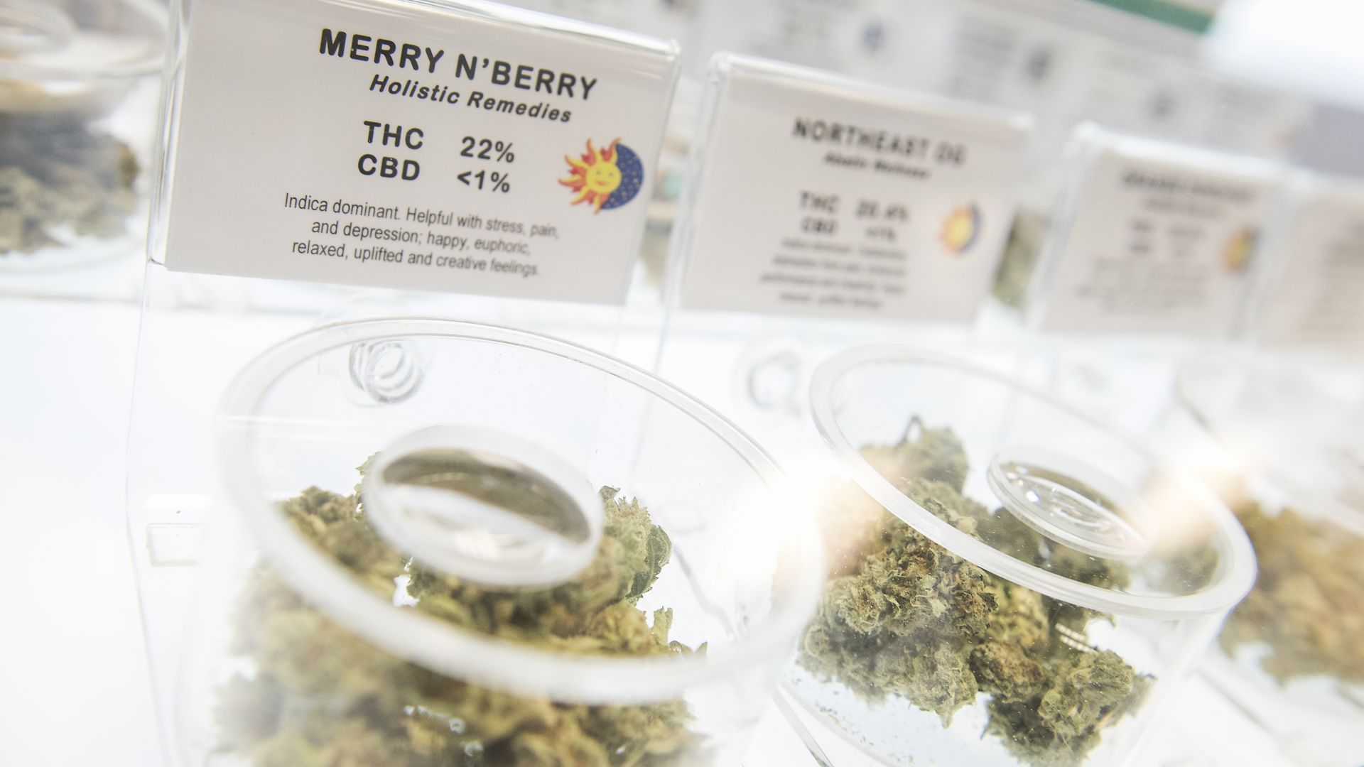 In this image, a line of clear containers containing marijuana are lined up. The first one is labeled "Merry Berry."