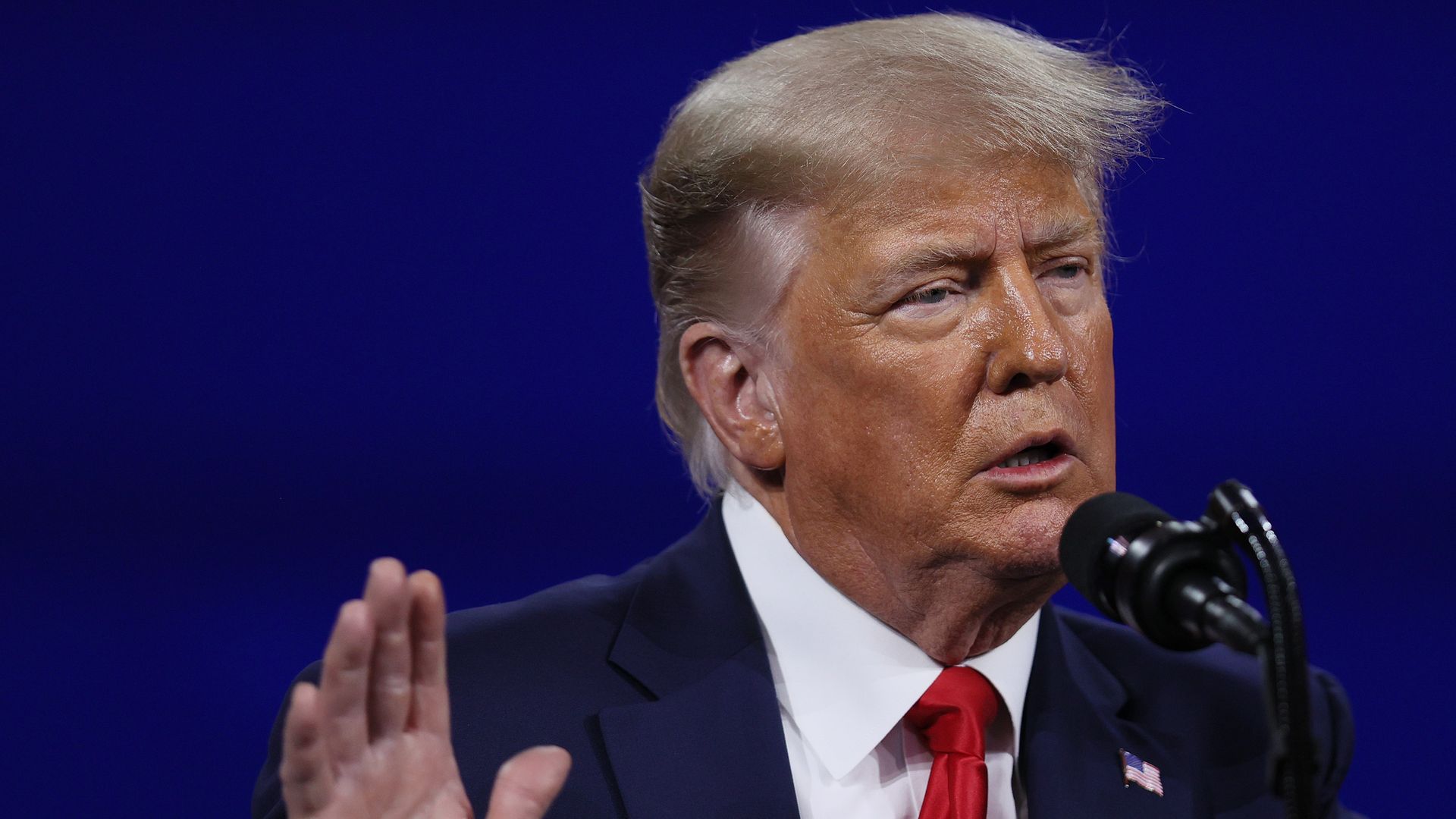 Picture of Donald Trump