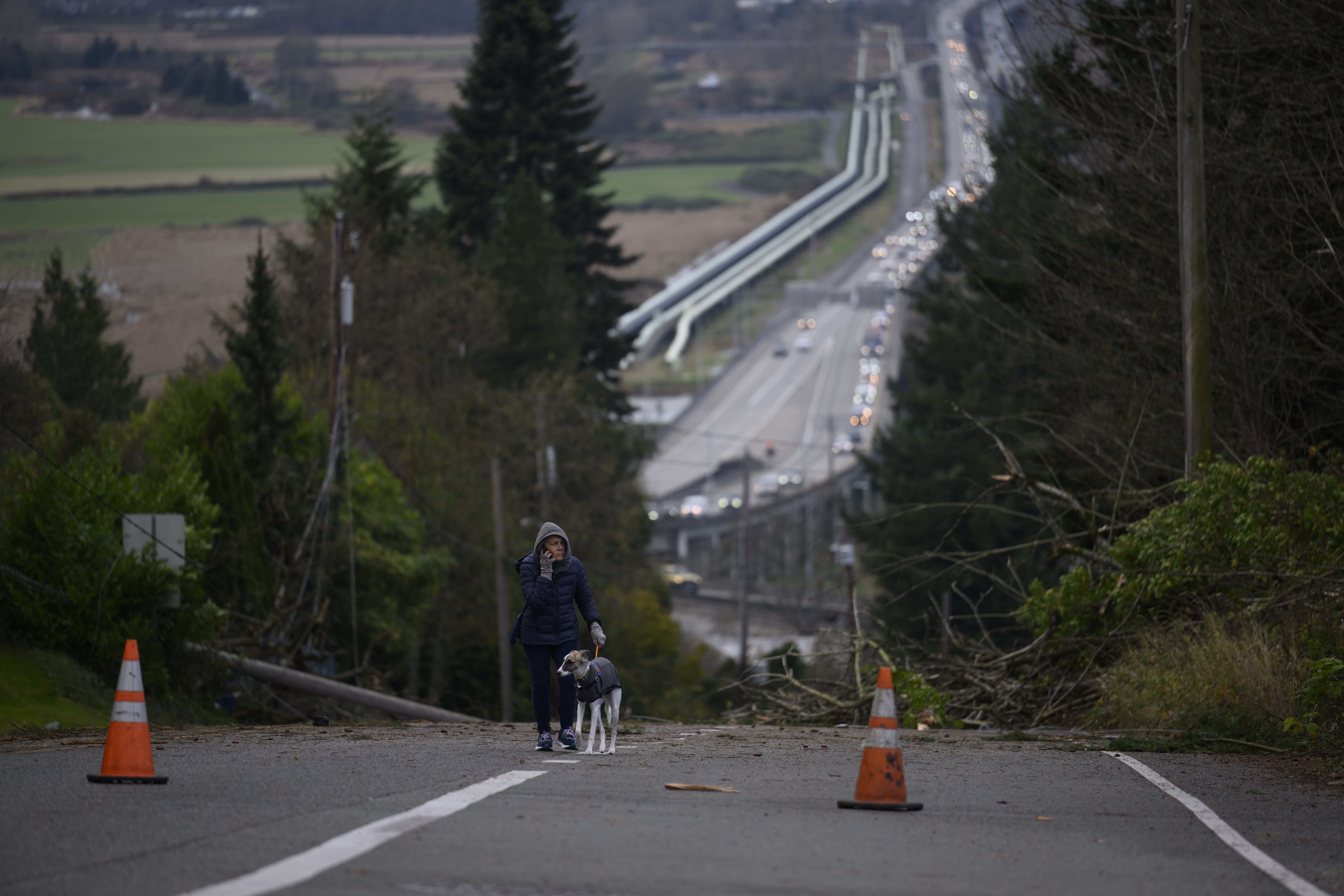 Resident Tara Brown surveys storm damage while walking her dog Loki on November 20, 2024 in Lake Stevens, Washington.