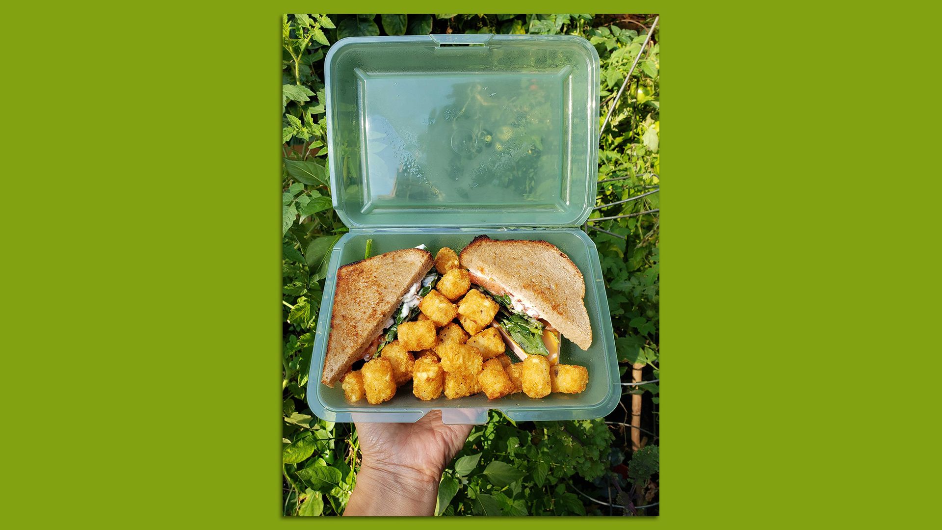 a plastic takeout container holds a sandwich and tater tots. 