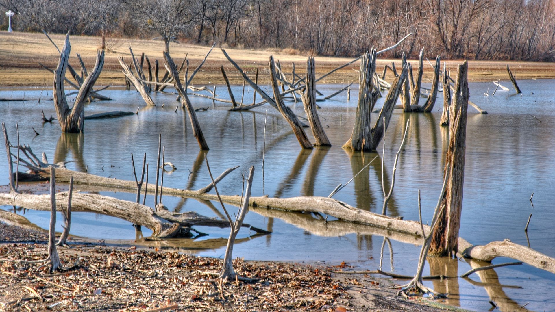 A drying lake