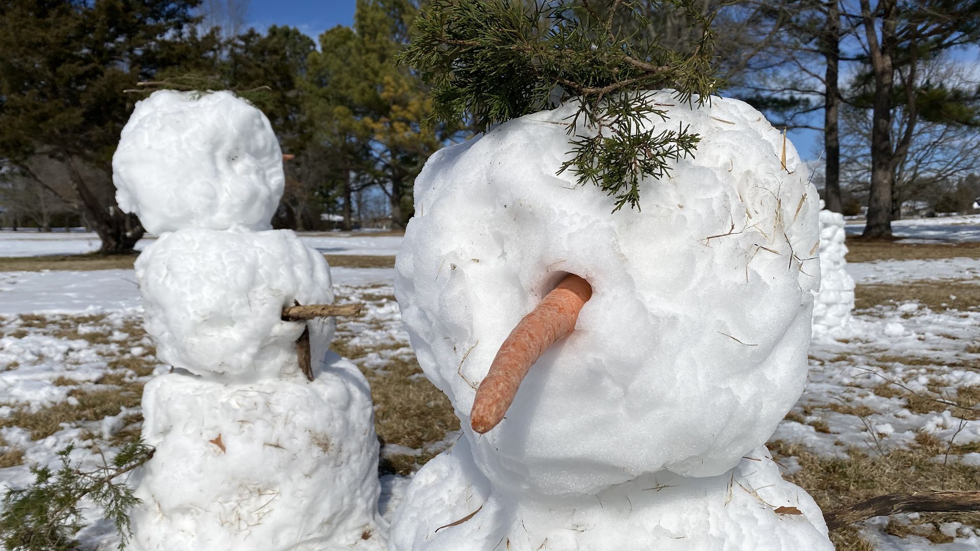 Snow-beings in a park.