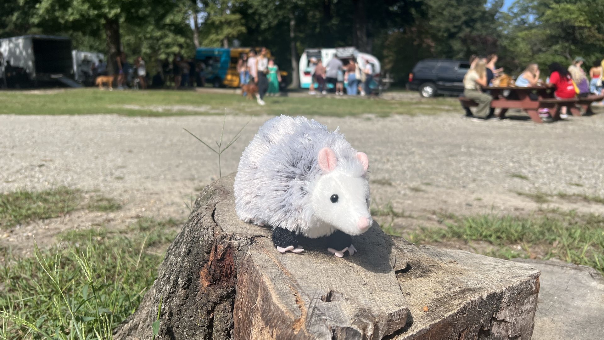 A stuffend animal possum on a tree stump in front of picnic tables and food trucks