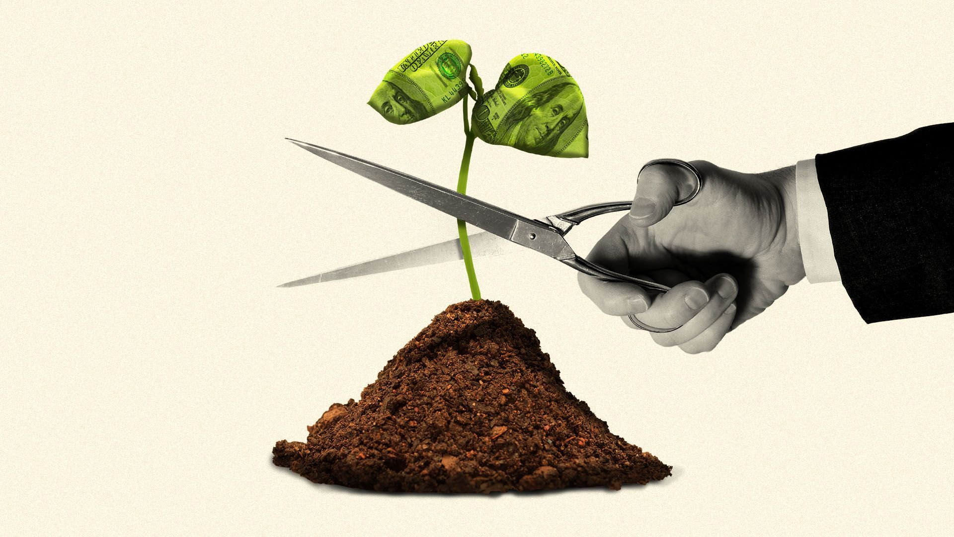 Illustration of a hand with scissors about to cut a small plant with 100 dollar bill leaves