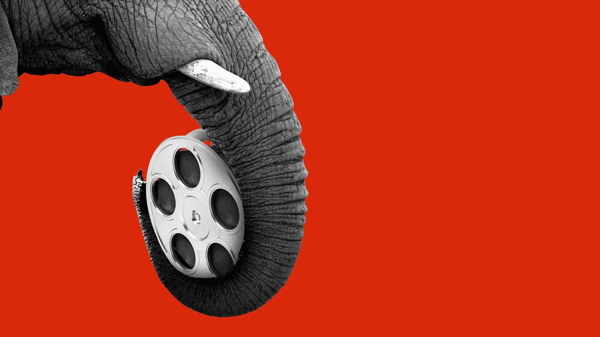 Illustration of an elephant trunk holding a film footage reel. 