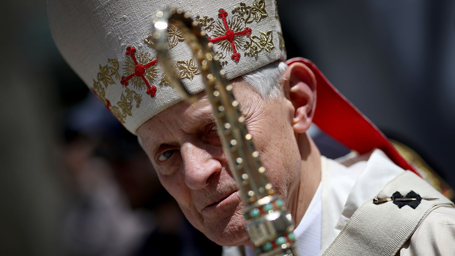 Cardinal Donald Wuerl, the Archbishop of Washington. Photo: Win McNamee/Getty Images