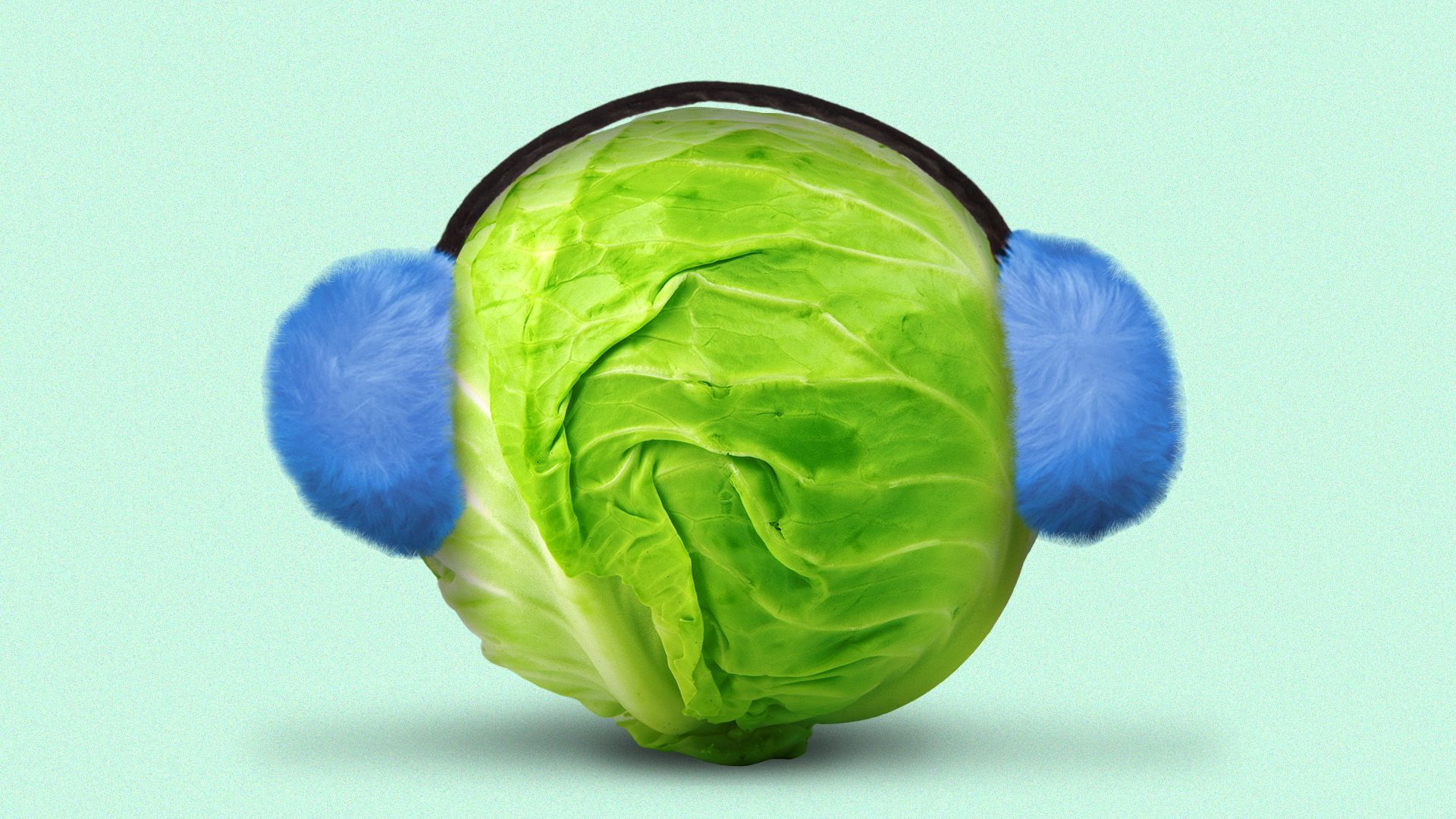 a green cabbage wearing a pair of fluffy blue earmuffs
