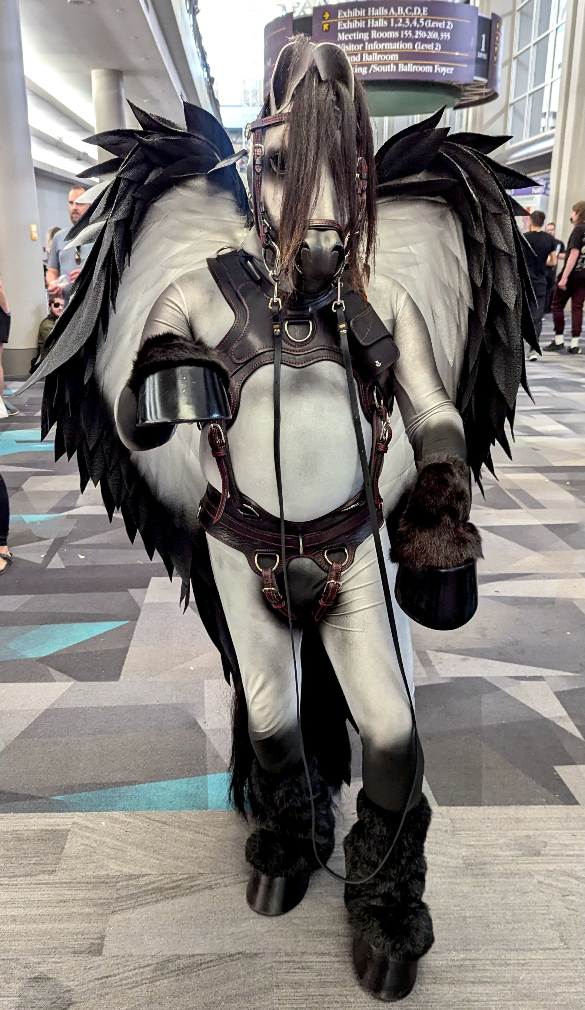 A pegasus pony costume