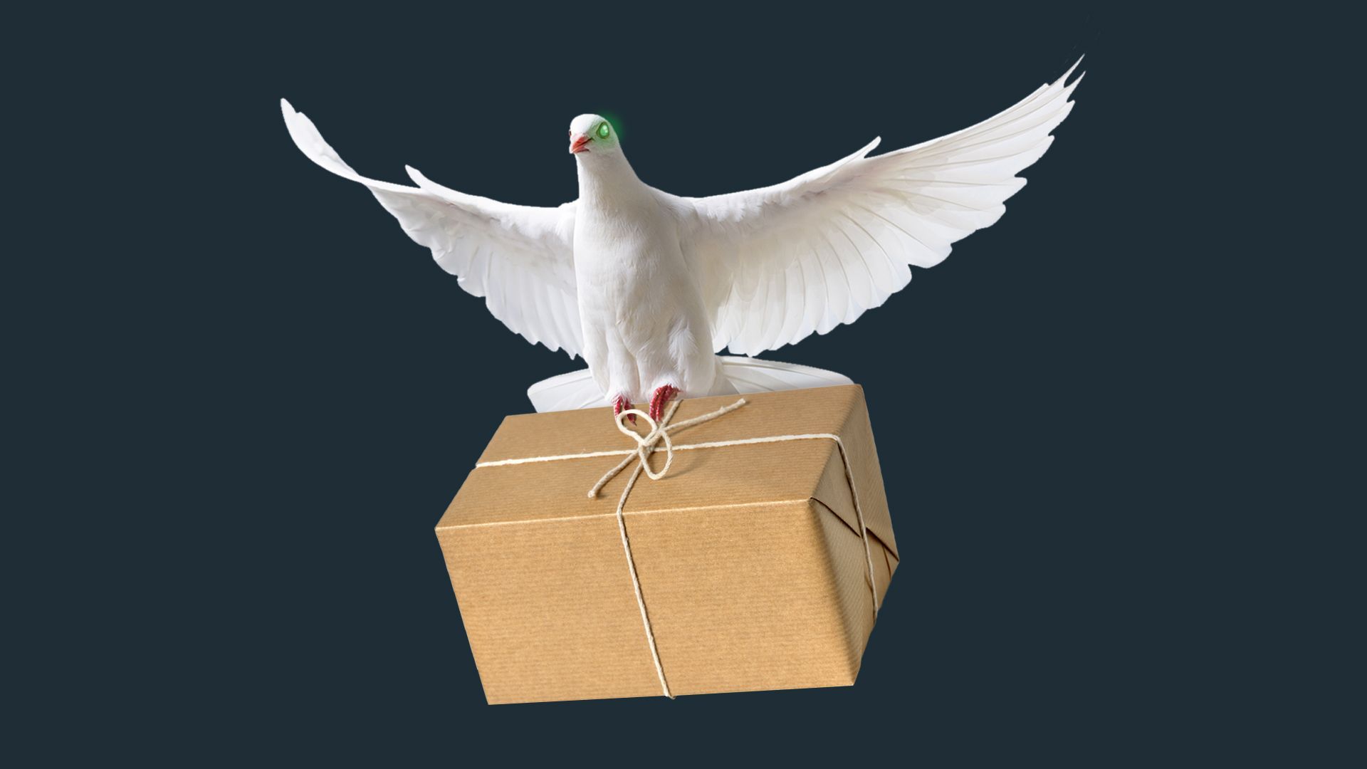 Illustration of a dove with glowing green eyes clutching a paper wrapped package