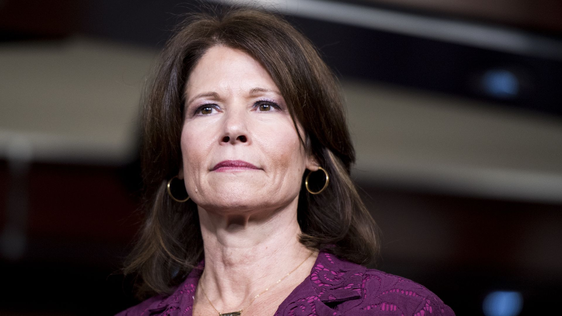 Illinois Democratic Rep. Cheri Bustos