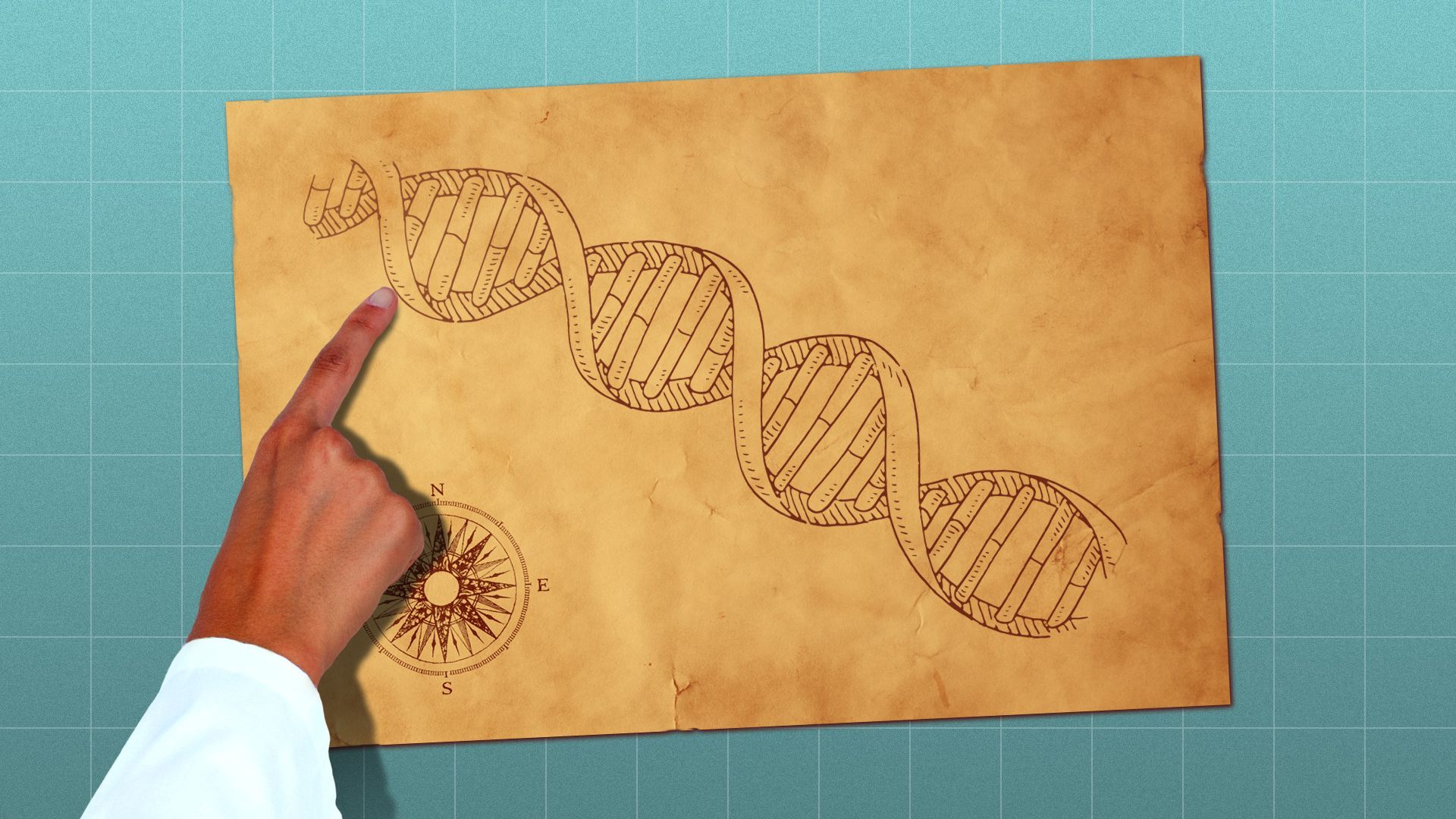 Illustration of a scientist pointing to a map with a double helix on it
