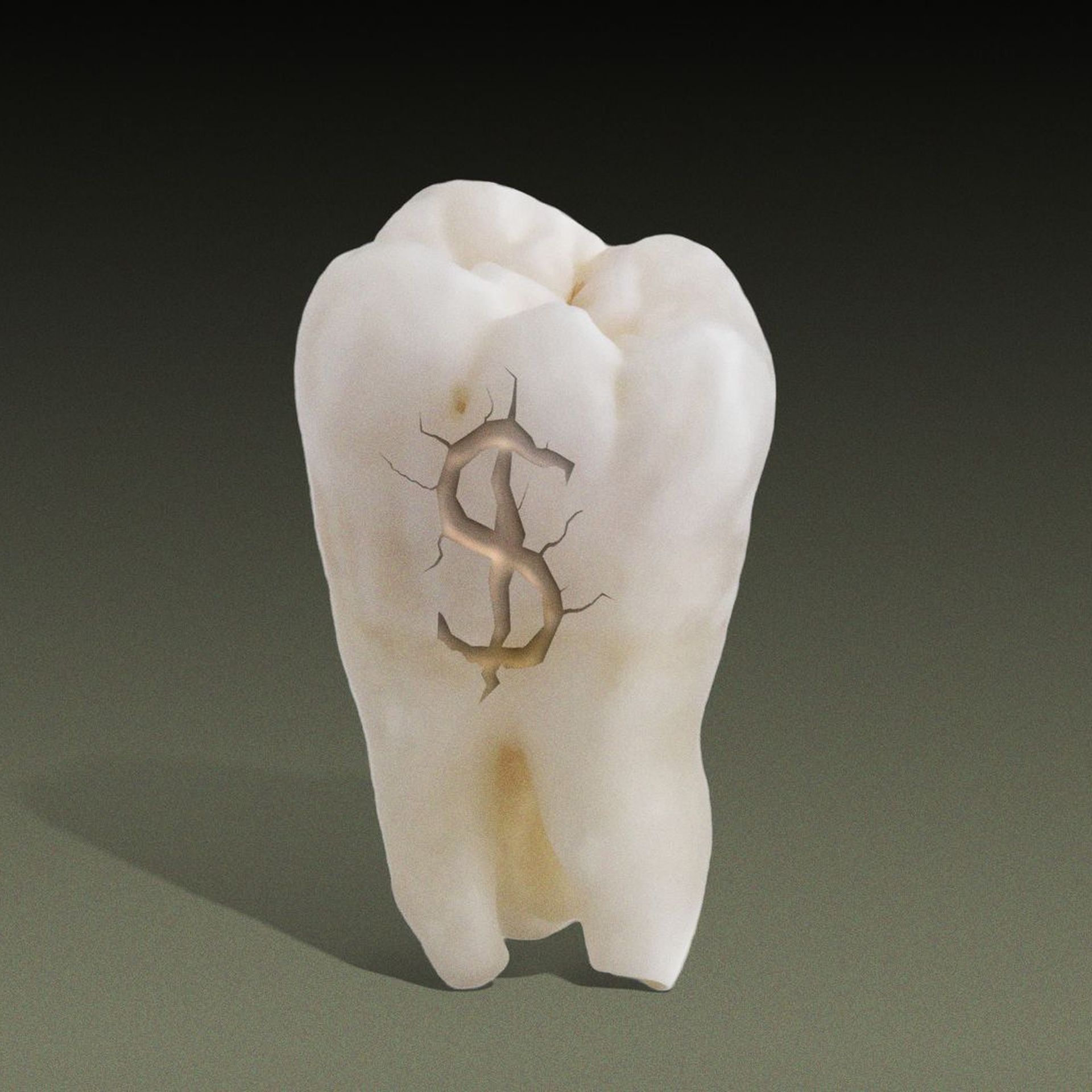 A tooth with a crack shaped like a dollar sign.