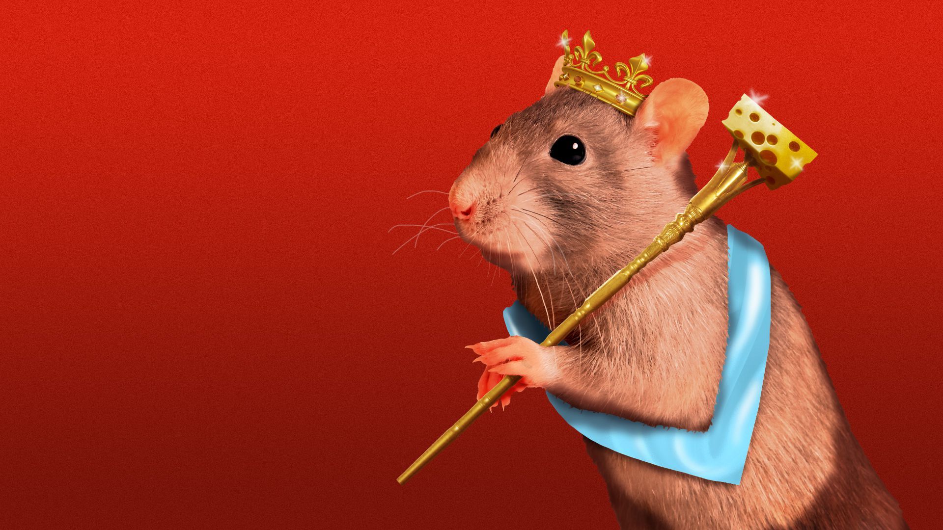 Illustration of a rat with a cheese scepter, crown, and sash