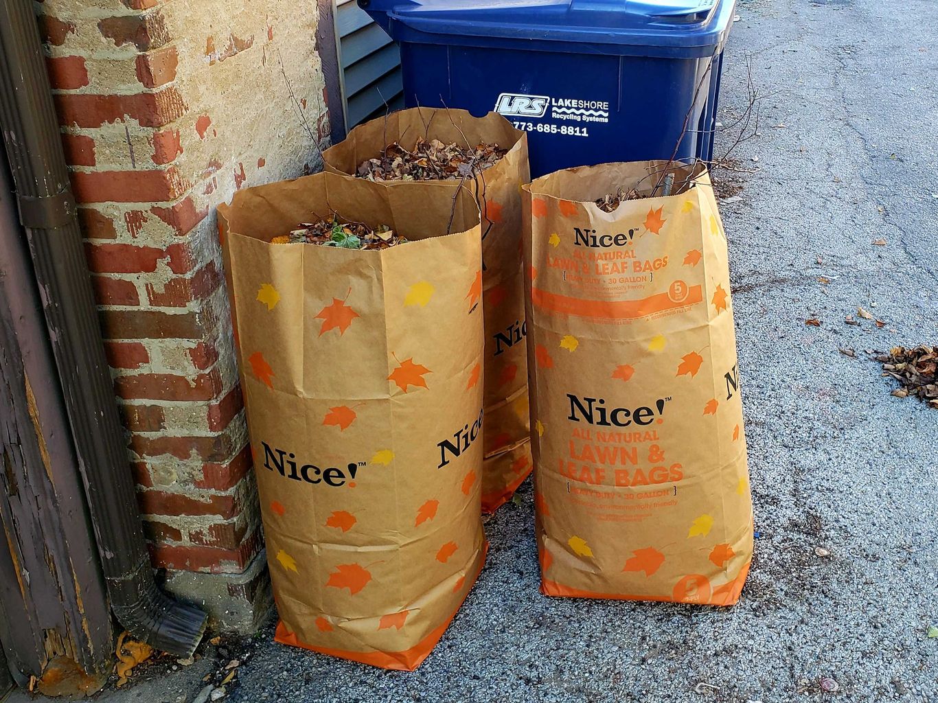 Chicago picking up less yard waste despite more resident requests - Axios  Chicago