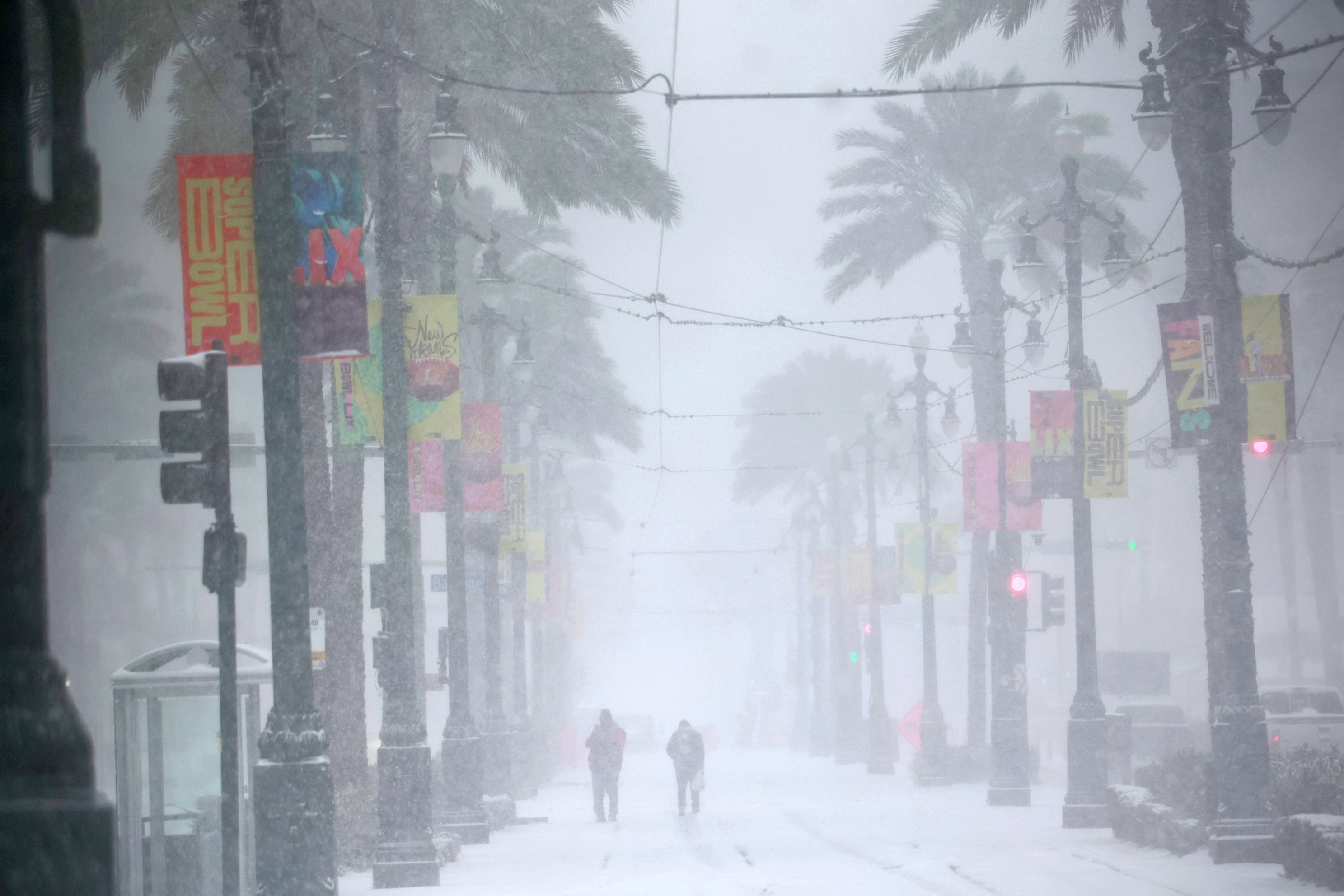 Image shows palm trees on Canal Street in the snow.