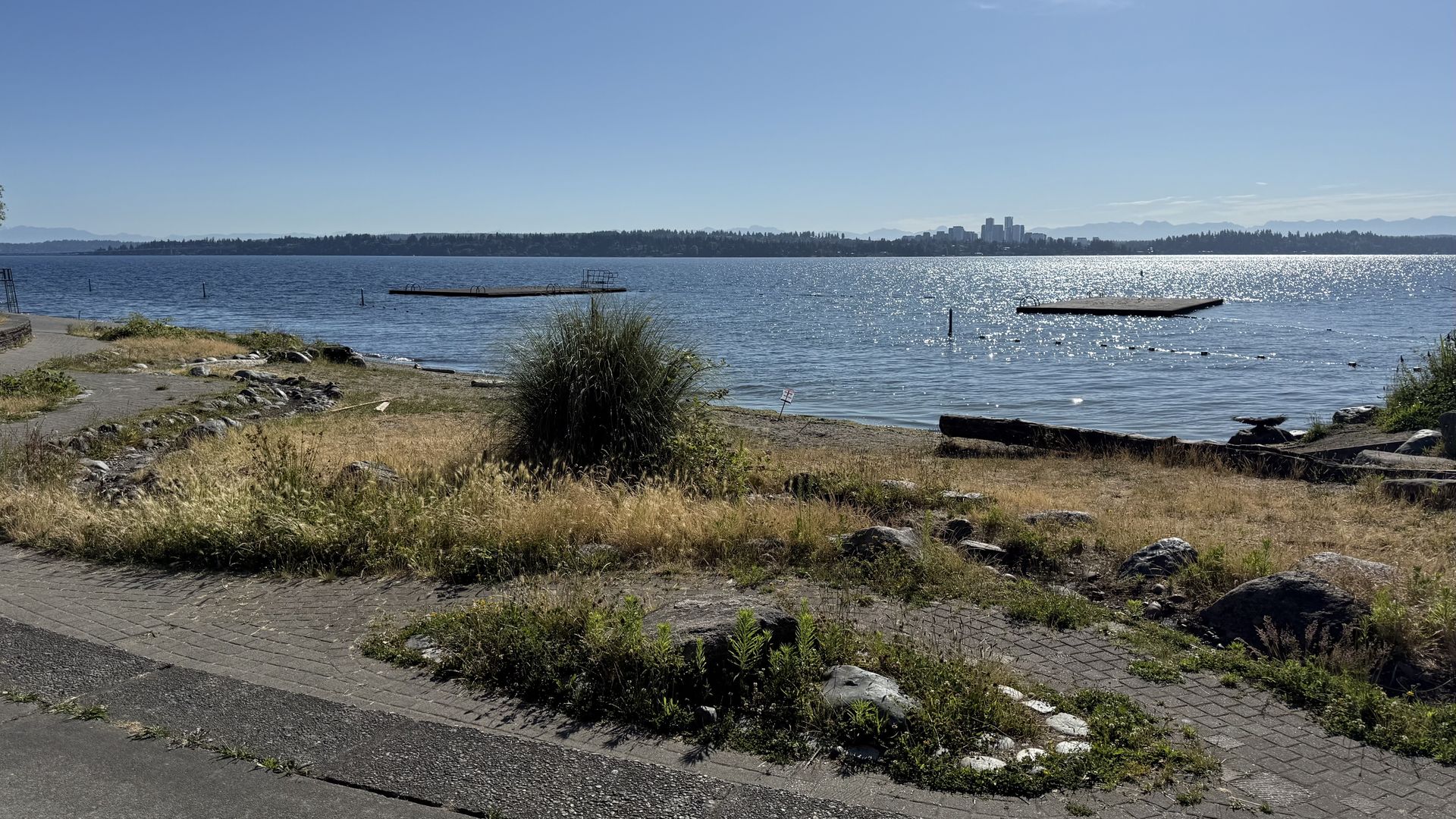 Lake Washington sparkles behind a grassy and sandy embankment of Madrona Beach, with a dock in the water and Bellevue in the distance.