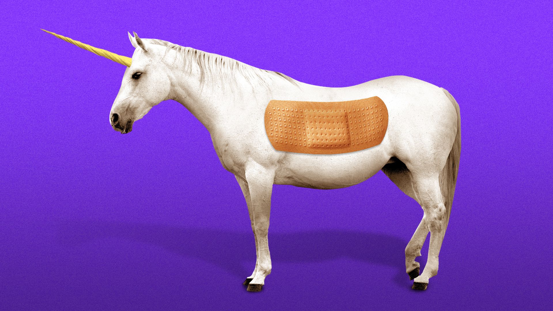 Illustration of a unicorn with a bandaid.