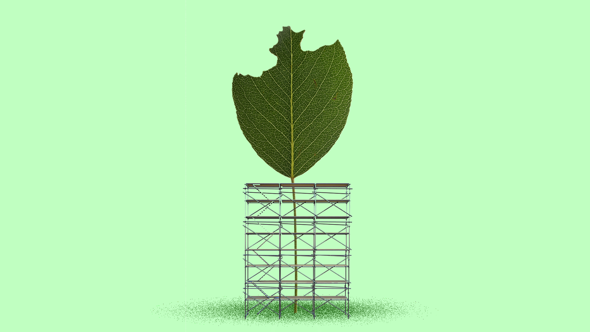 Illustration of a damaged leaf with scaffolding around it