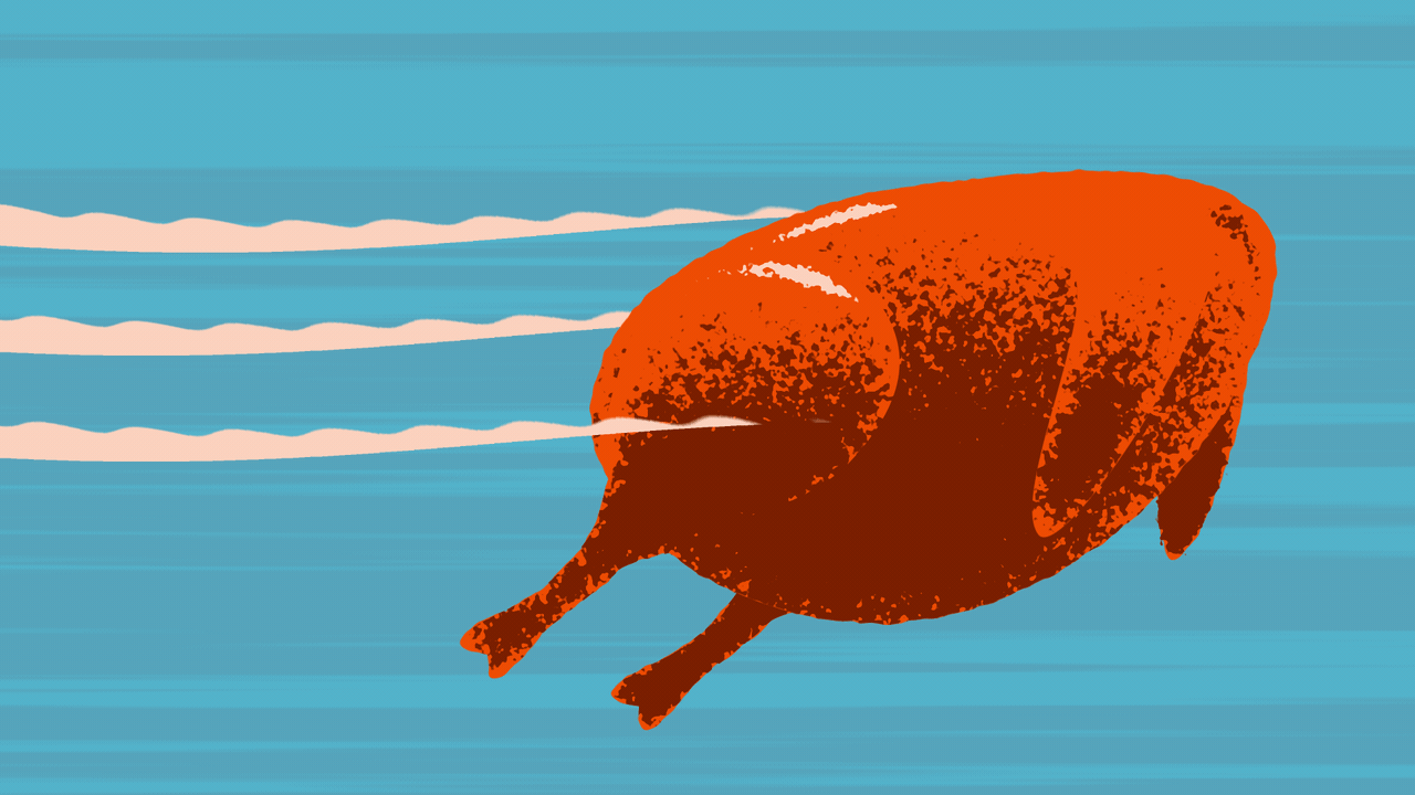 Animated illustration of a cooked turkey flying.