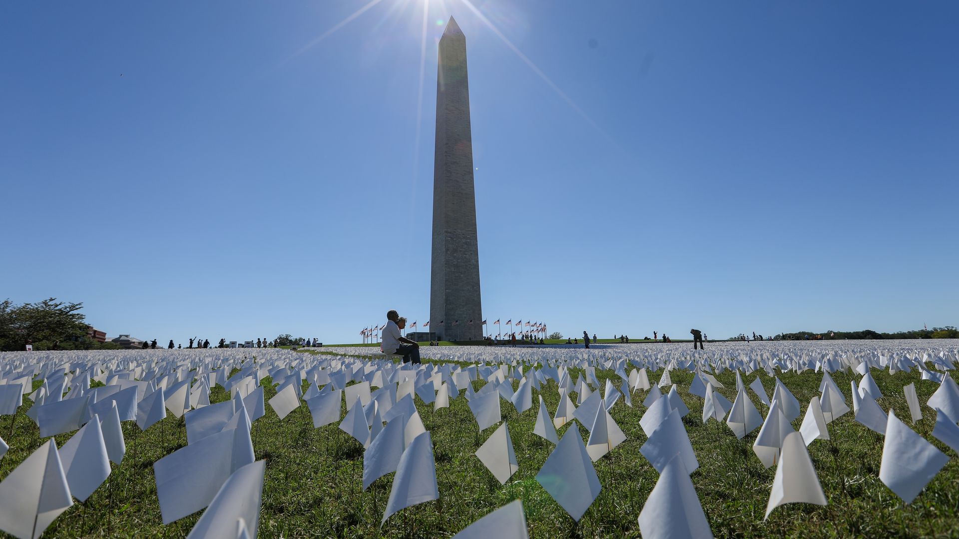 A row of white flags in the grass outside the Washington Monument