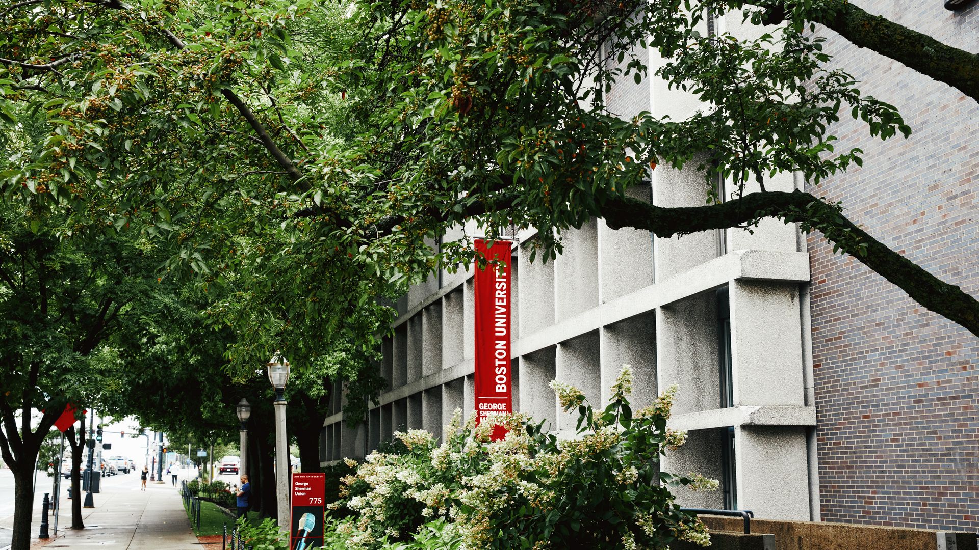 A Boston University building on Commonwealth Avenue.