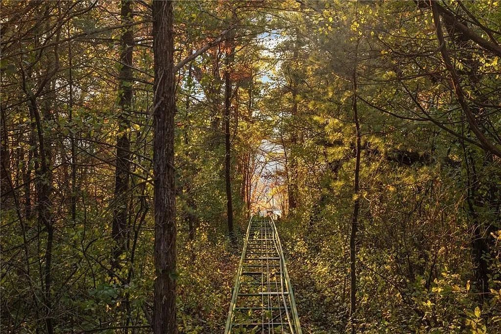 A rail car track leading through a wooded area down to the water.