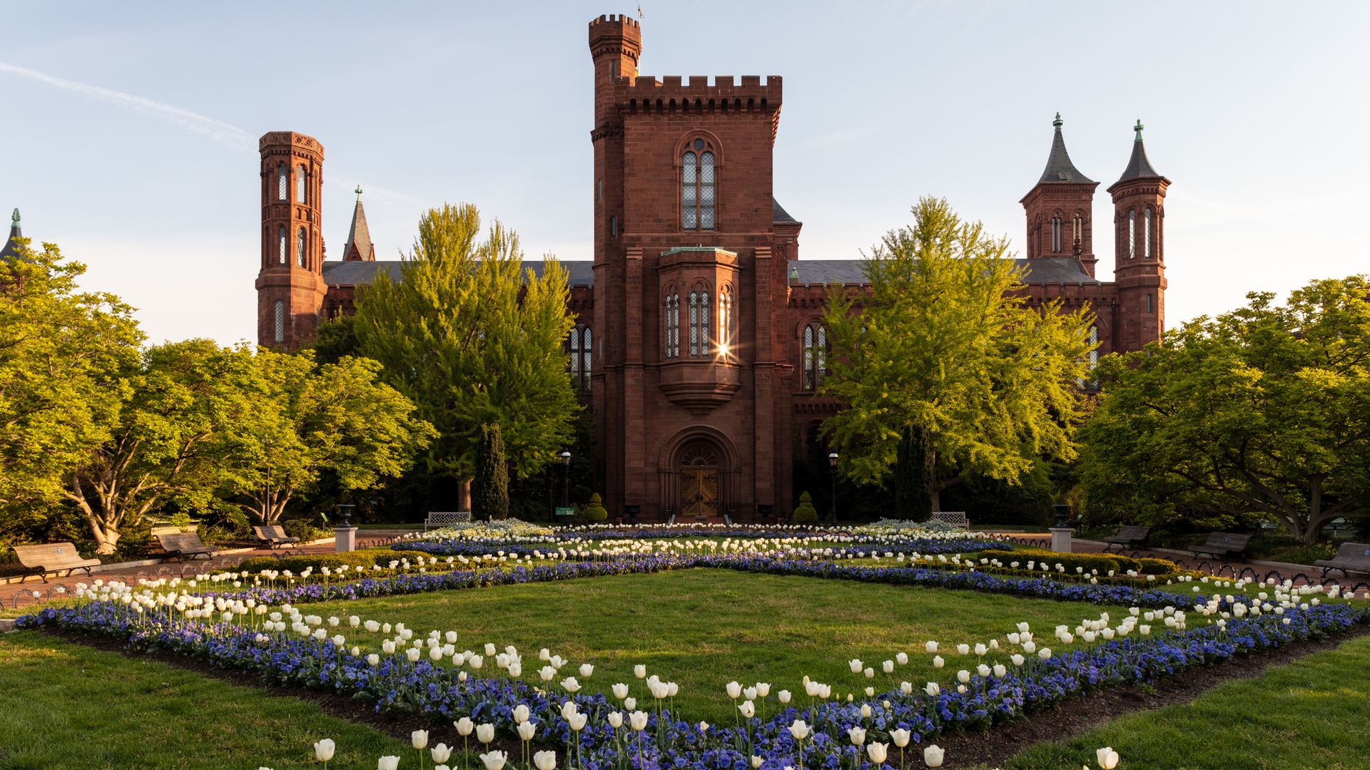 Red-brick gothic-style university building with tall towers rises behind a formal garden of white and purple tulips, framed by green trees under a clear blue sky.
