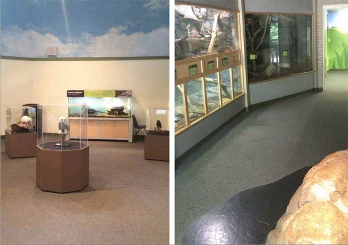 Photo via Mecklenburg County