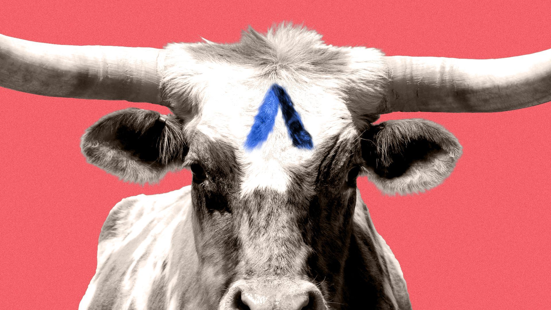 Burnt ends: Bite-sized news bits - Axios Dallas