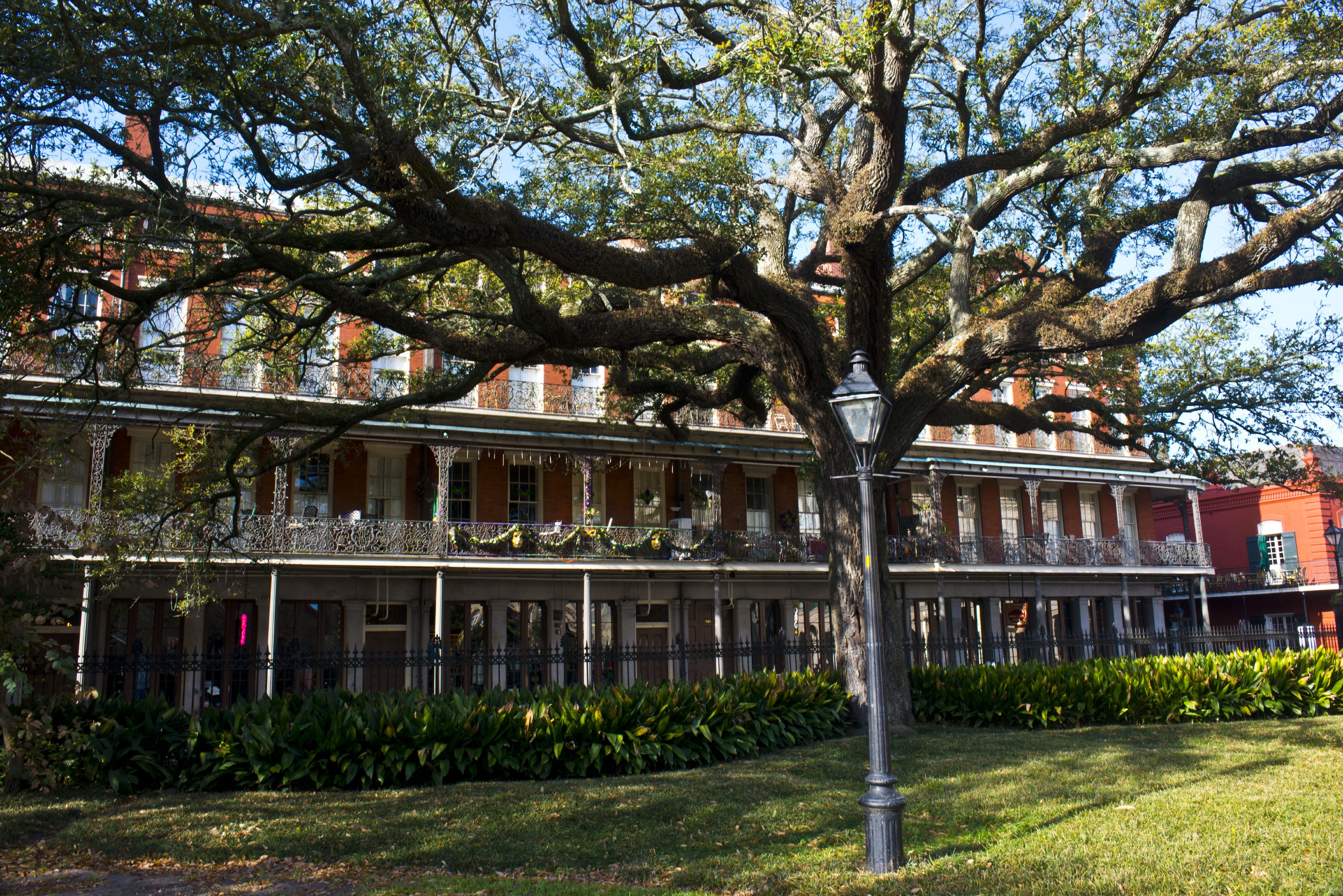 A photograph of the Upper Pontalba Building, as viewed from inside the park at Jackson Square. A large oak tree and a streetlight are seen between the viewer and the building.