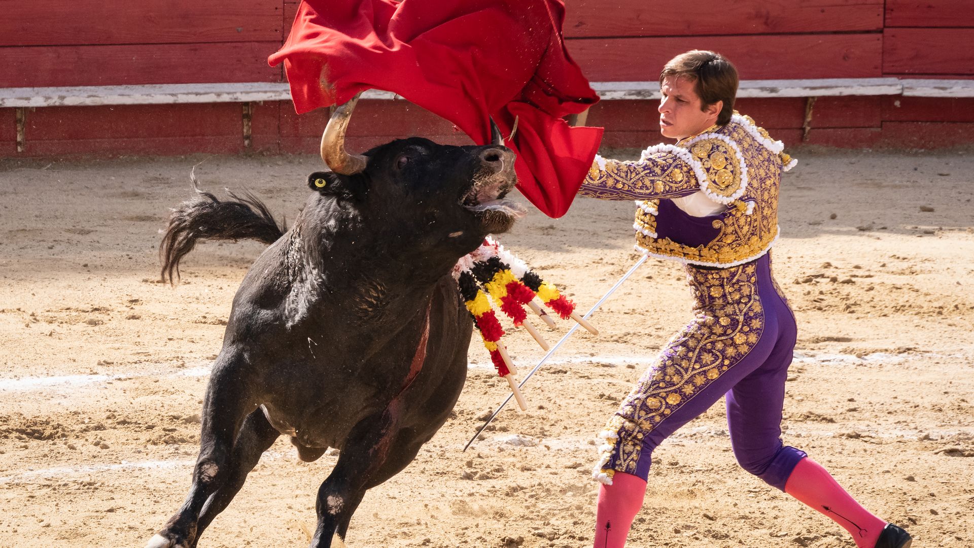 Judge continues pause on bullfighting in Mexico City