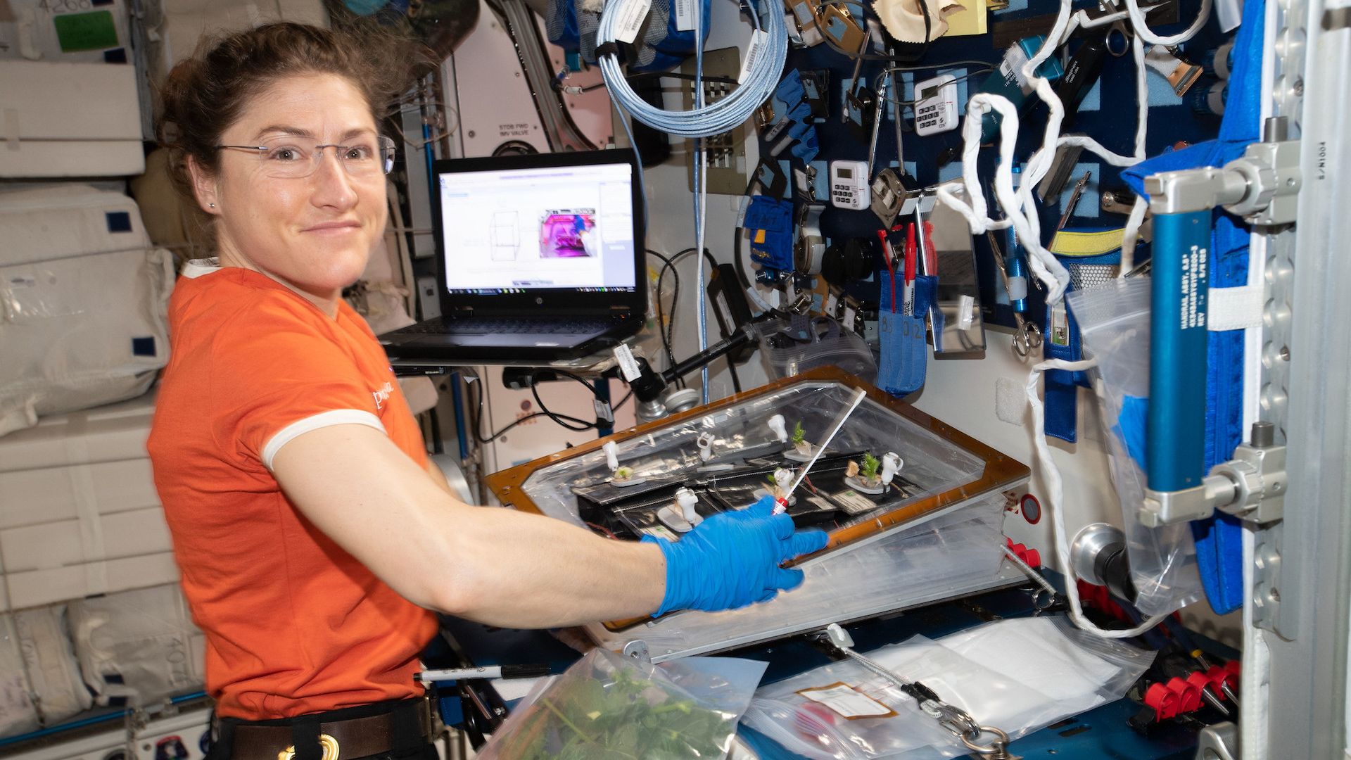 NASA astronaut Christina Koch on the International Space Station.