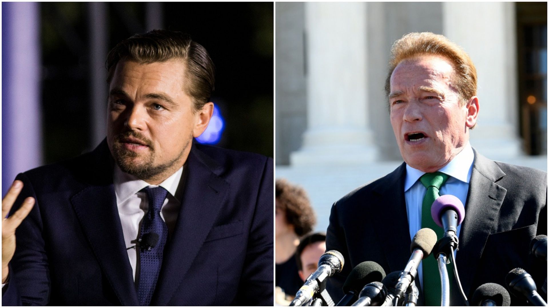 Leo DiCaprio and Arnold Schwarzenegger pic stitch