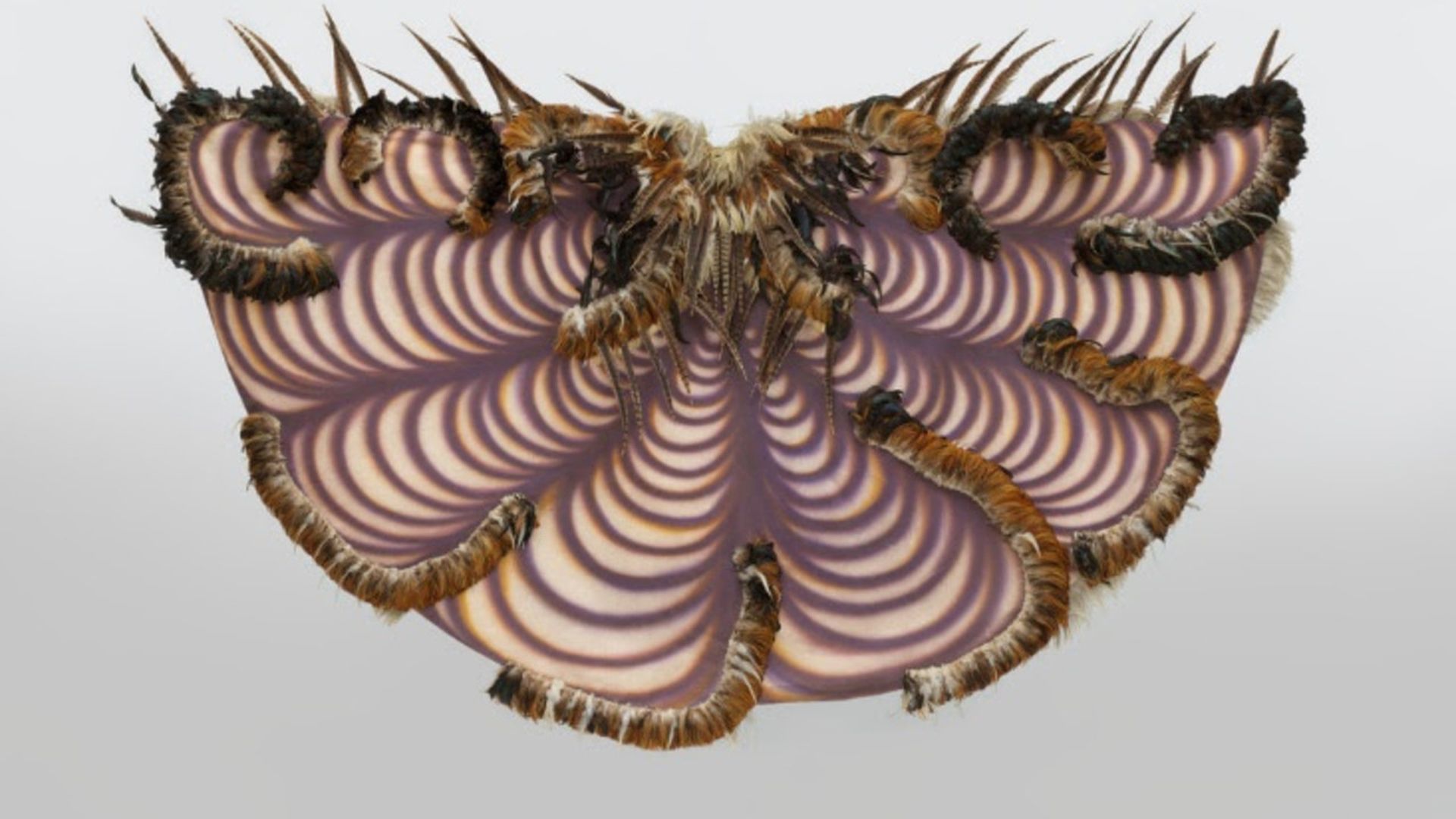 Carlos Villa, "Painted Cloak" 1970-71, Courtesy of SFMOMA, Accessions Committee Fund purchase, © Estate of Carlos Villa. Photo: Katherine Du Tiel