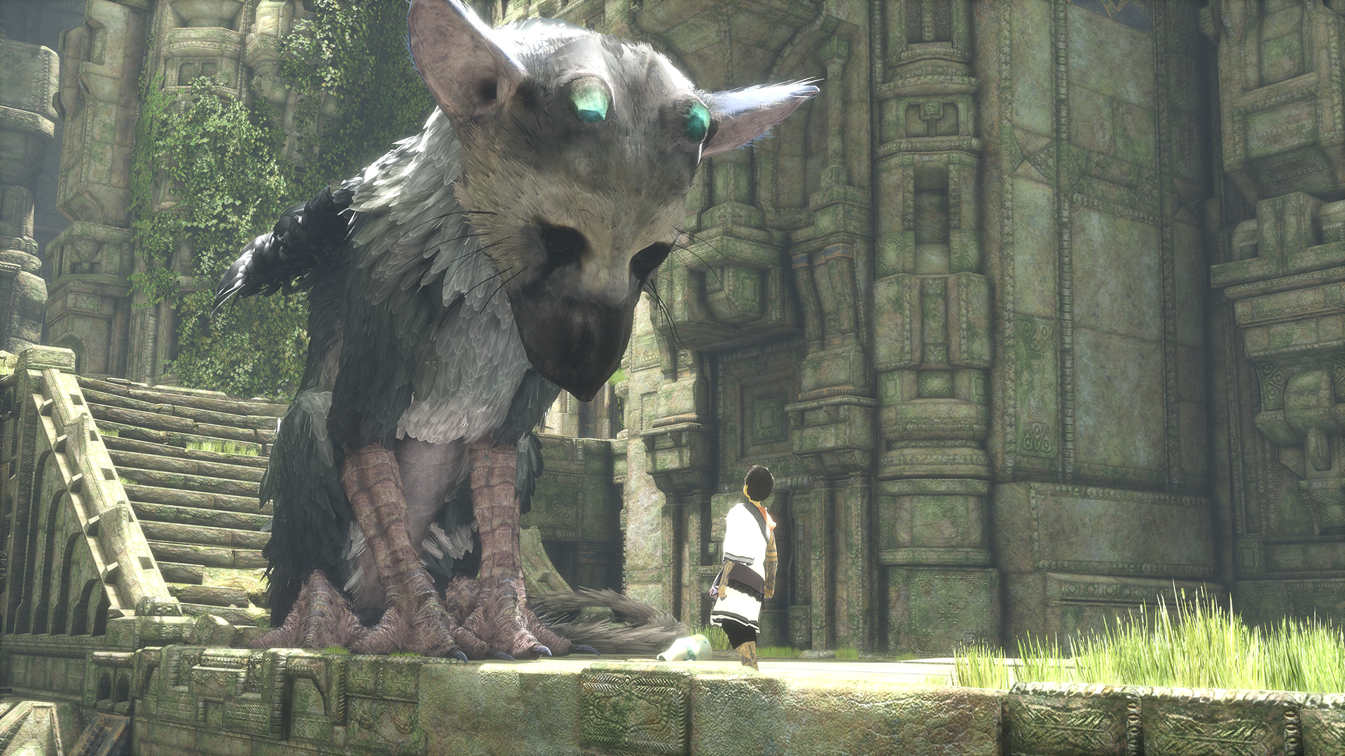 The Last Guardian for PS4
