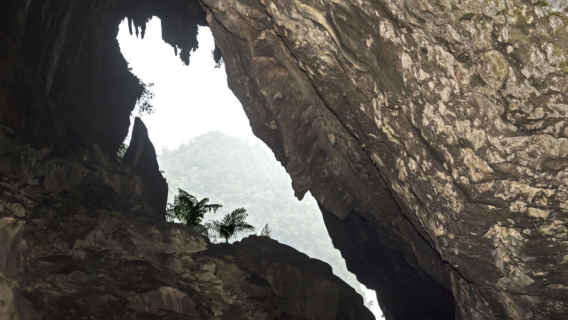 A cave in Borneo, Malaysia.