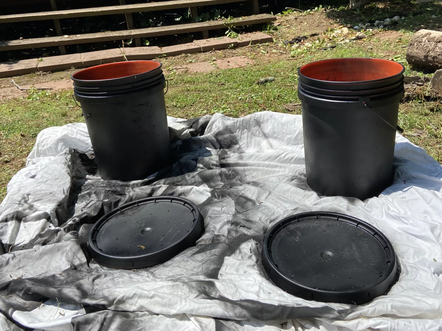 Try this DIY eco-friendly mosquito trap - Axios Atlanta