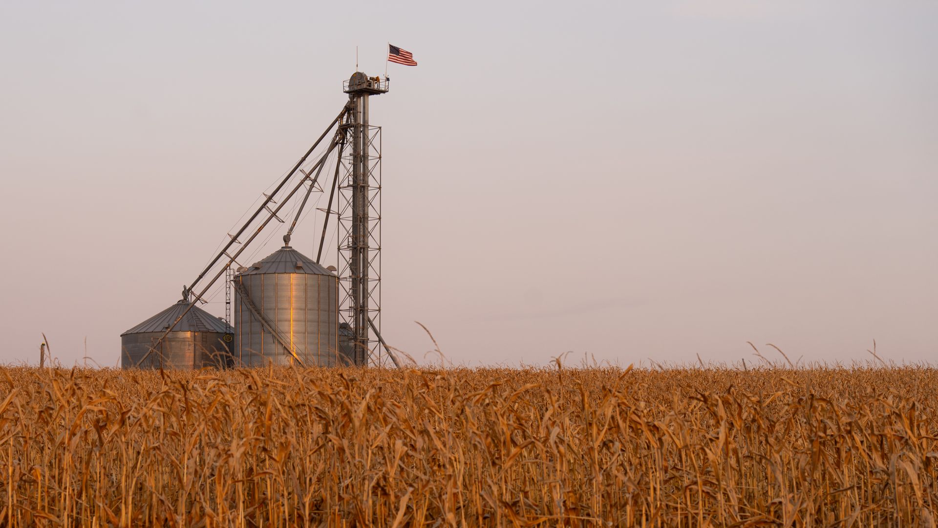 A grain bin in a corn field in Marne, Iowa. 