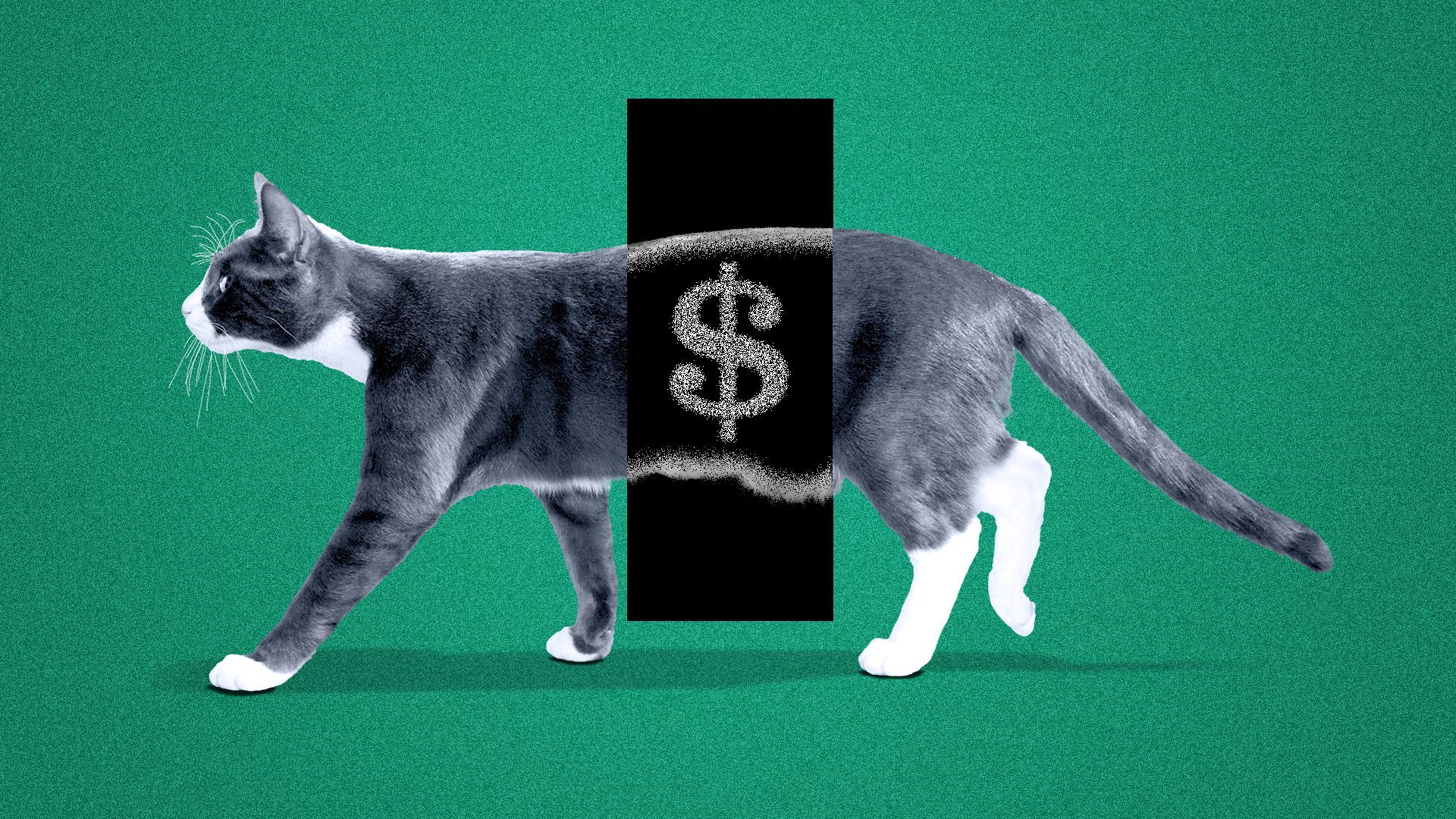 Illustration of a cat with an x-ray view of its stomach revealing a dollar sign.