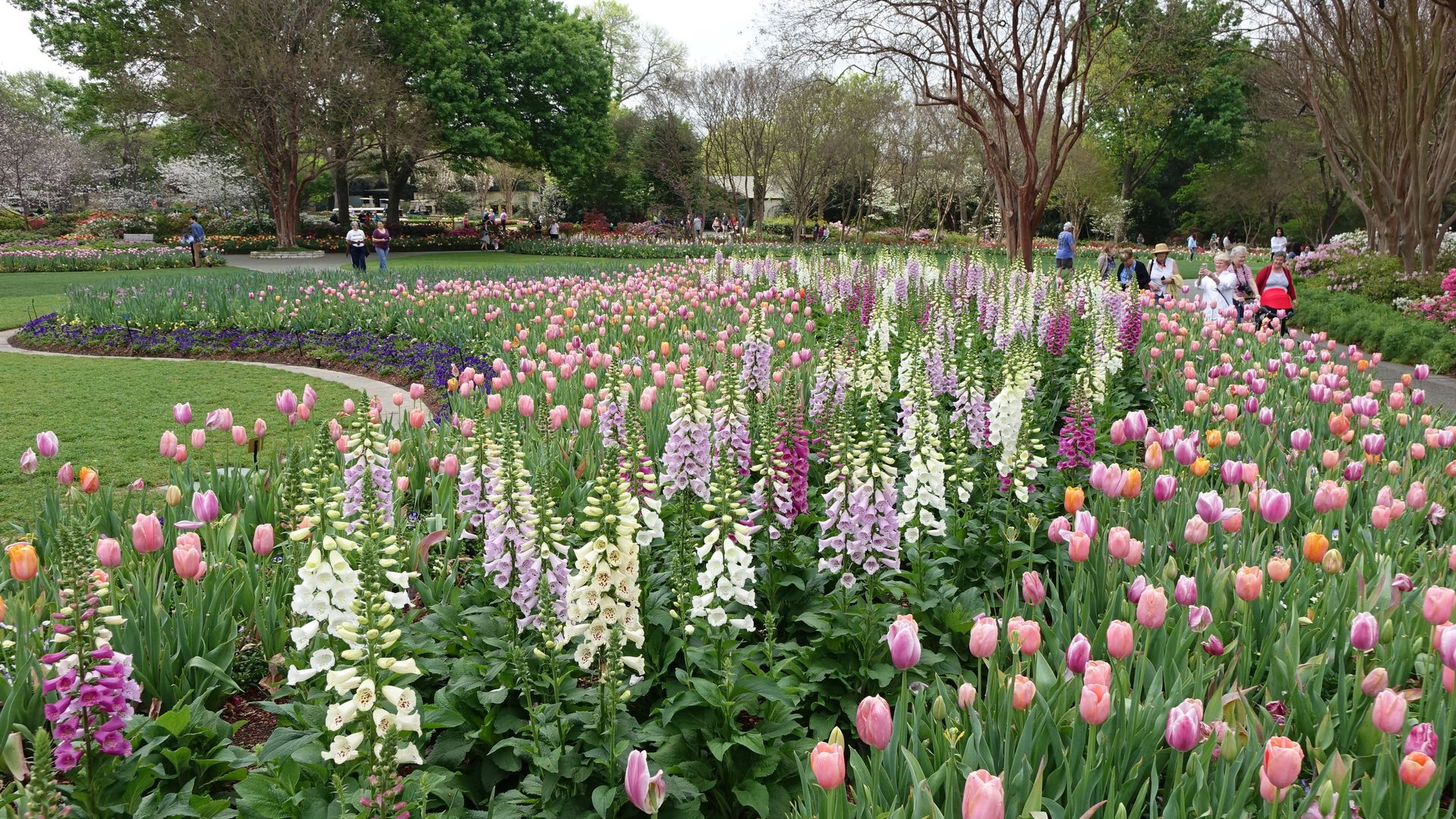 Flowers stretching forever