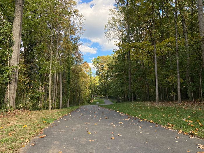 Heading east on the Backlot Trail. Photo: Ashley Mahoney/Axios