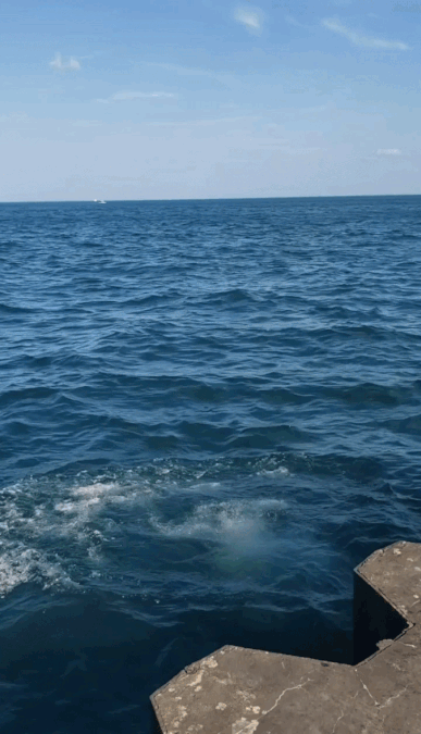 video of a woman jumping out of the lake